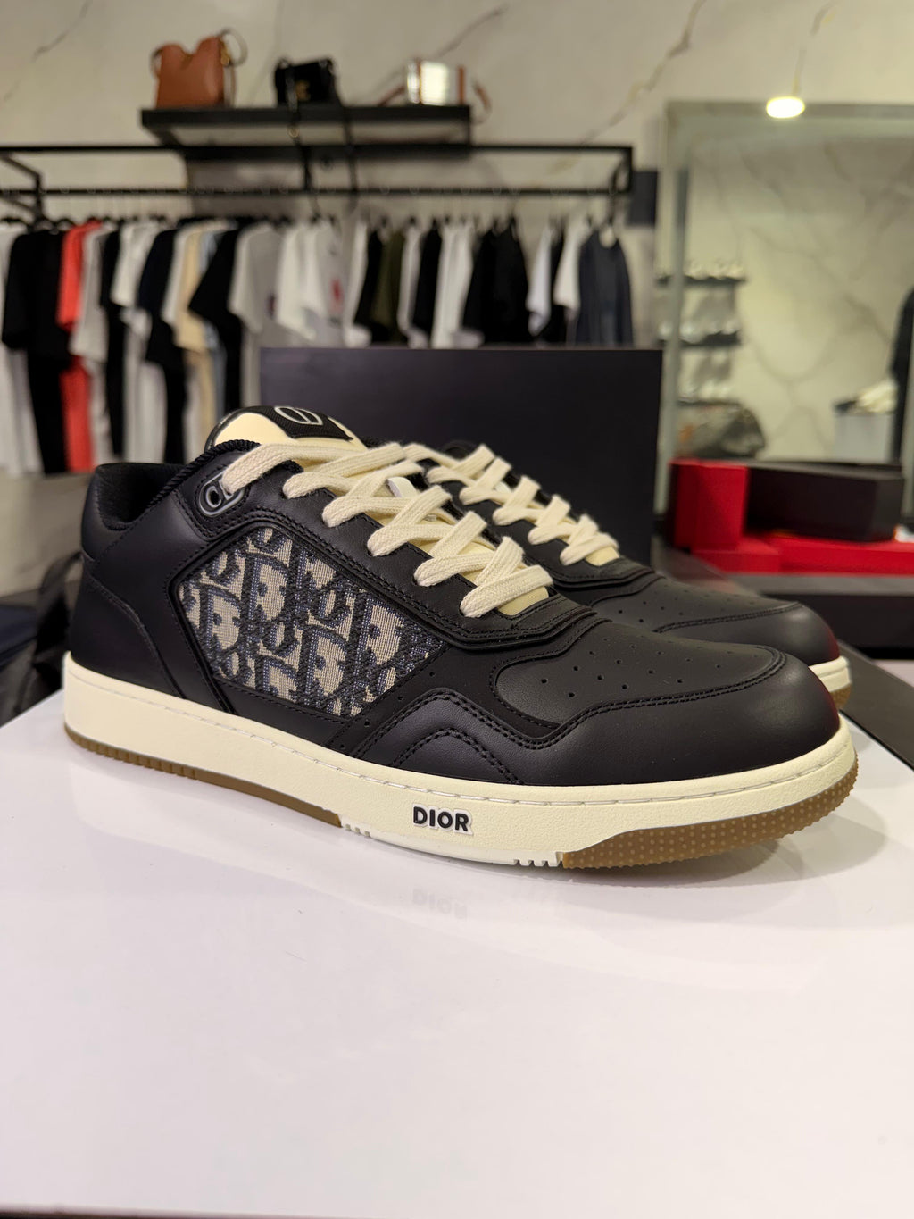 Dior B27 Low