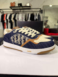 Dior B27 Low
